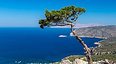 Vista panoramica del mare e della costa di Rodi con un albero in primo piano.