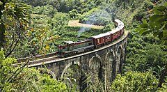 Treno su un ponte ferroviario circondato dalla natura lussureggiante in Sri Lanka.