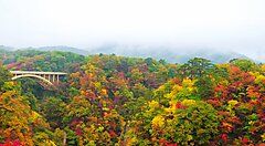 Gola di Naruko con alberi dai colori autunnali e un ponte in lontananza.