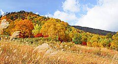 Collina di Hachimantai con alberi autunnali dai colori vivaci.