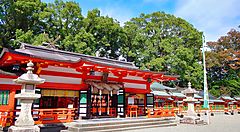 Santuario Hayatama Taisha con strutture tradizionali e alberi sullo sfondo.