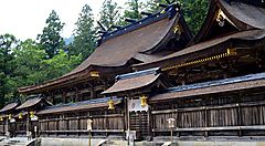 Il santuario di Hongu Taisha circondato da foreste verdi.