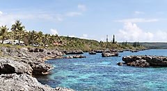 Costa rocciosa con mare turchese e palme su un'isola.