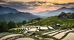 Tramonto sui terrazzamenti di riso a Kumano, Giappone.