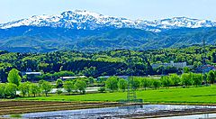 Paesaggio del Monte Hakusan con neve sulle cime e campagna verde in primo piano.