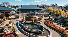 Giardino di bonsai nel villaggio Omiya, in Giappone.