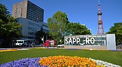Torre della TV di Sapporo con giardino fiorito in primo piano.