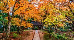 Sentiero nel giardino autunnale del Tempio Chusonji.