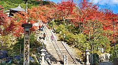 La scalinata del tempio Mimuroto-ji in autunno con foglie rosse.
