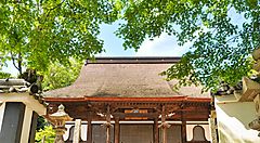 Tempio Myohonji con tetto tradizionale nascosto tra il fogliame estivo.