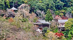 Il Tempio Nyoirinji circondato dalla natura rigogliosa.