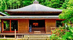 Il Tempio Tokeiji circondato dal verde rigoglioso.