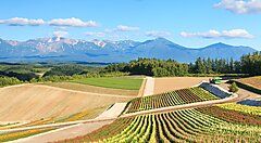 Colline colorate con paesaggio montano a Tokachidake, Giappone.