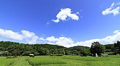 Paesaggio di campagna con prati verdi, alberi e cielo blu.