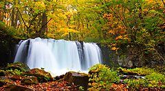 Cascata nel bosco autunnale lungo il torrente Oirase.