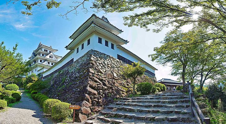 Il Castello di Gujo Hachiman circondato da alberi e giardini.