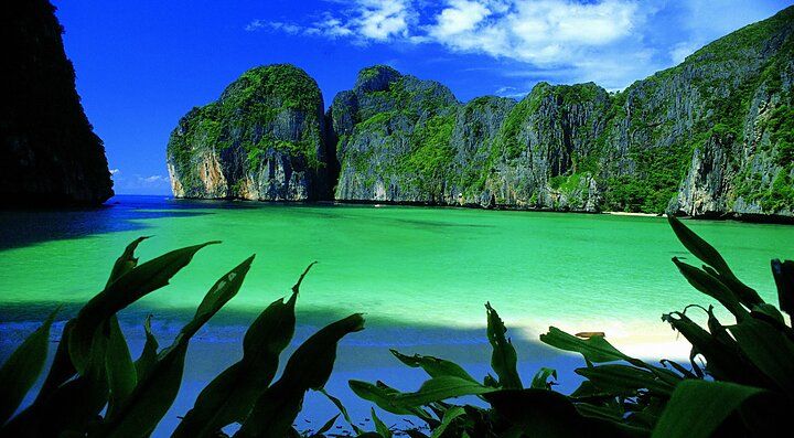 La baia di Maya Bay con acque turchesi e scogliere verdi.