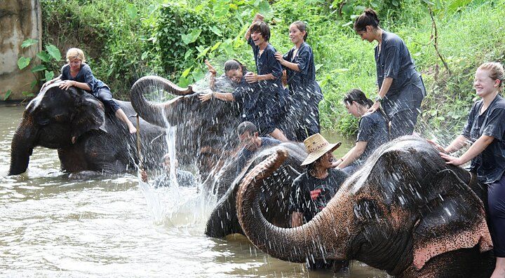 Persone giocano con elefanti in un fiume a Chiang Mai.