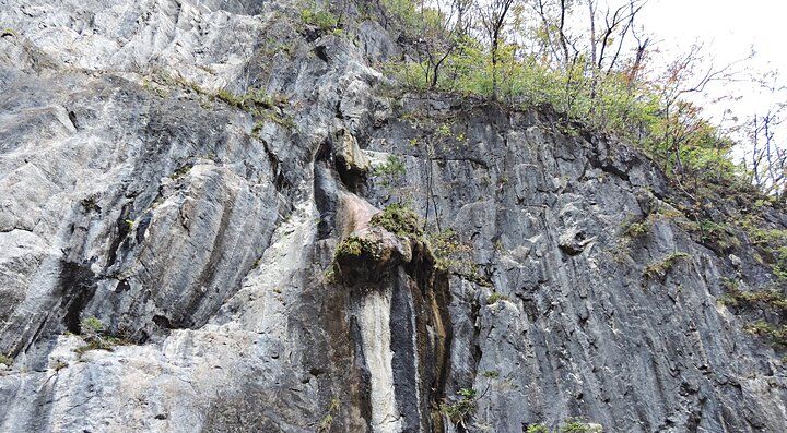 Parete rocciosa a Geibikei con vegetazione in cima.