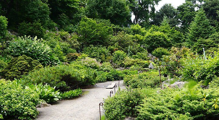 Il giardino botanico a Sapporo, con sentieri tra piante verdi e cespugli.