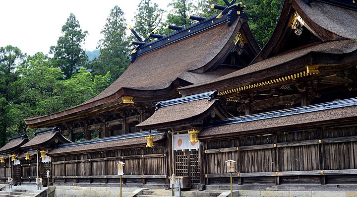 Il santuario di Hongu Taisha circondato da foreste verdi.