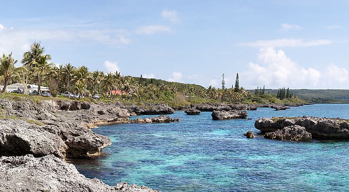 Costa rocciosa con mare turchese e palme su un'isola.