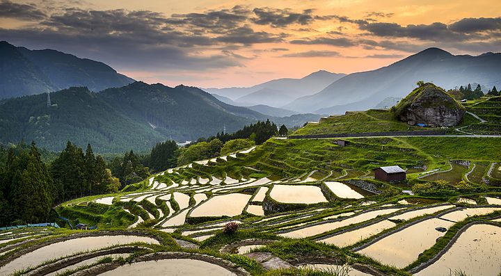 Tramonto sui terrazzamenti di riso a Kumano, Giappone.