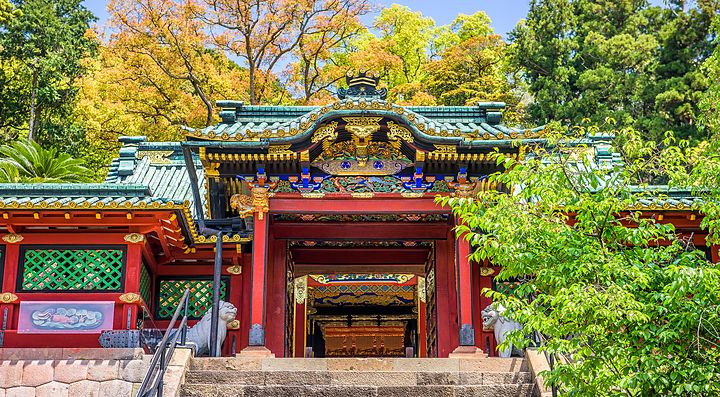 Ingresso del santuario Kunozan Toshogu circondato da alberi.