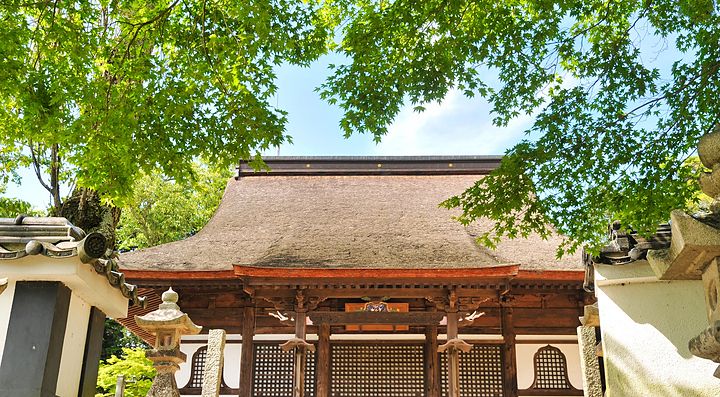 Tempio Myohonji con tetto tradizionale nascosto tra il fogliame estivo.