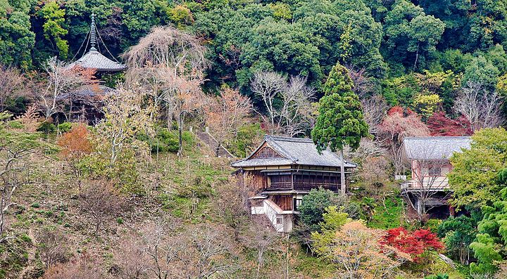 Il Tempio Nyoirinji circondato dalla natura rigogliosa.