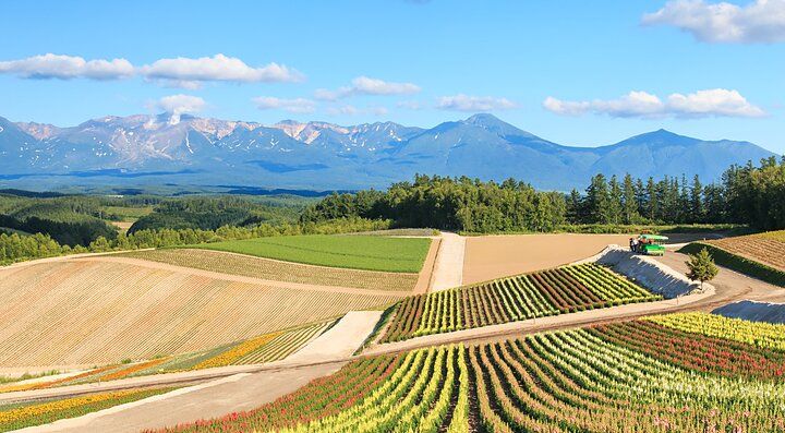 Colline colorate con paesaggio montano a Tokachidake, Giappone.
