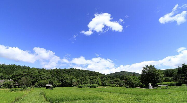 Paesaggio di campagna con prati verdi, alberi e cielo blu.
