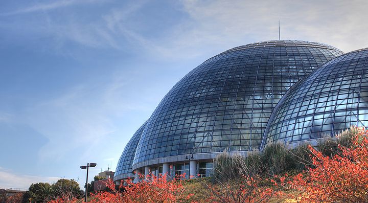 Cupole di vetro del giardino botanico di Yumenoshima a Tokyo.