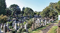 Il cimitero di Aoyama a Tokyo con lapidi tra gli alberi.