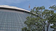 Dettaglio della cupola del Tokyo Dome.