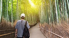 Un ragazzo cammina nella foresta di bambù a Kyoto.