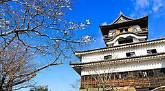 Il castello di Inuyama in primavera.