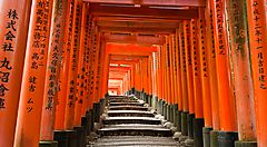I portali rossi del Fushimi Inari di Kyoto, senza persone.