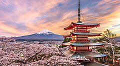 Pagoda giapponese e fiori di ciliegio con il Monte Fuji sullo sfondo.