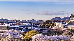 In Lontananza il castello di Himeji, in primavera.