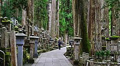 La pittoresca strada che attraversa il cimitero di Okunoin al Monte Koya.