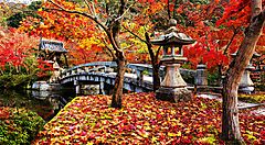 Il ponte che porta al tempio Eikando, in autunno.