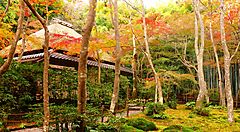 Giardino del tempio Gio-ji a Kyoto.