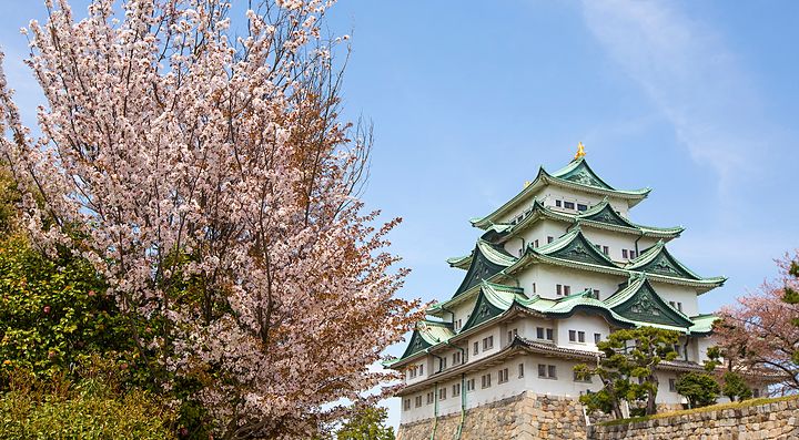 Il castello di Nagoya in primavera.