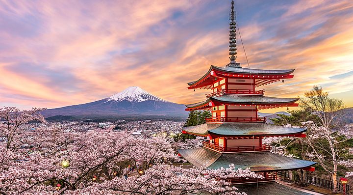 Pagoda giapponese e fiori di ciliegio con il Monte Fuji sullo sfondo.