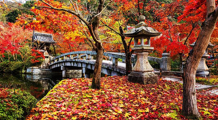 Il ponte che porta al tempio Eikando, in autunno.