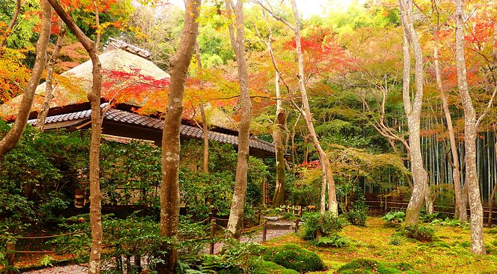 Giardino del tempio Gio-ji a Kyoto.
