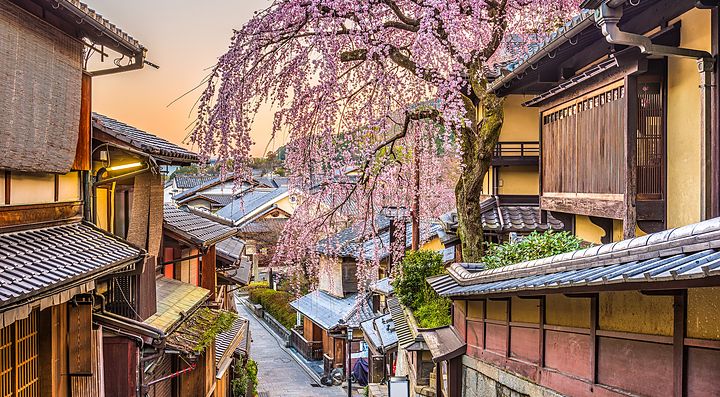 Strada tradizionale a Kyoto con case in legno e albero in fiore.