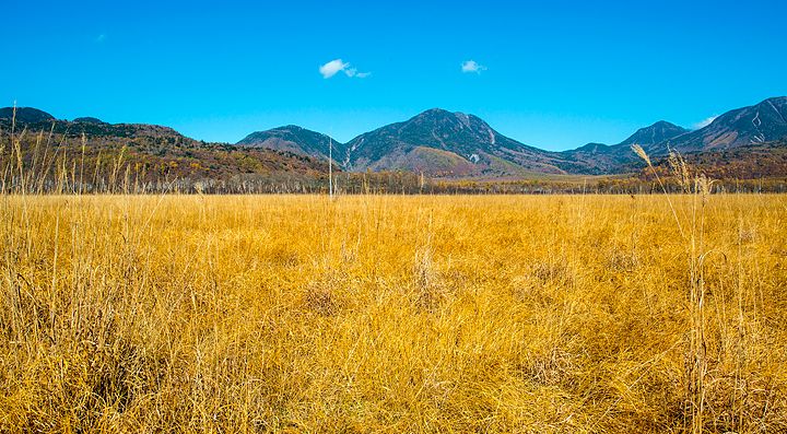 Distesa incontaminata all'Altopiano di Senjogahara.
