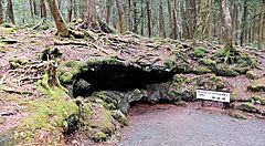 Ingresso di una grotta nella foresta di Aokigahara, Giappone.